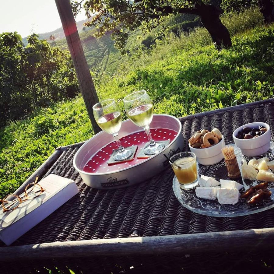 Il Poggio B&B San Damiano al Colle Dış mekan fotoğraf