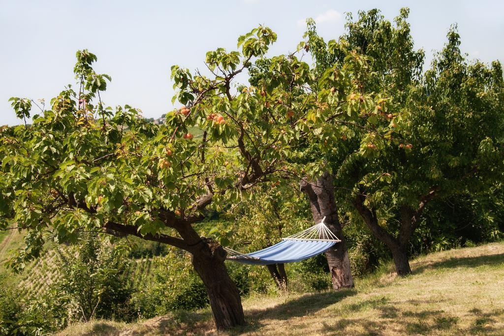 Il Poggio B&B San Damiano al Colle Dış mekan fotoğraf